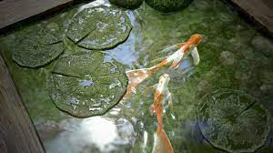 Pin On Substance Designer