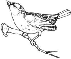 We did not find results for: Objek Gambar Fauna Yang Baguy Brainly Co Id