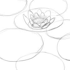 Black And White Lily Pad How To Draw A Lily Pad Drawing Factory Lily Pad Drawing Lilies Drawing Flower Drawing