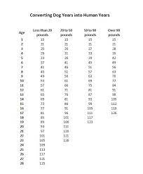 How Long Do Dogs Live Dog Breeds And Life Expectancy Petmd