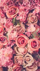 New Flowers Background Iphone Photography Phone Wallpapers 47 Ideas In 2020 Flower Background Iphone Floral Wallpaper Iphone Iphone Wallpaper Hipster