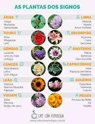 Cafe Filosofico Os Sete Pecados Capitais Pin By Raquel On Gemeos Book Of Shadows Zodiac Signs Wicca