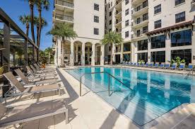 We did not find results for: The Beautiful Rental Tampa Apartments M Wales One Bedroom Fl Apartment Style Bay Forever Haunted Venice Rays Samantha New Suburb Apppie Org