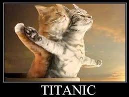 Titanic Imagen De Humor Imagenes Facebook Frases Facebook Smeshnye Zhivotnye Samye Milye Zhivotnye Lyubiteli Koshek