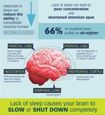 The Cost Of Sleep Deprivation Health Promotion Boston College Sleep Apnea Treatment Lack Of Sleep Sleep Apnea
