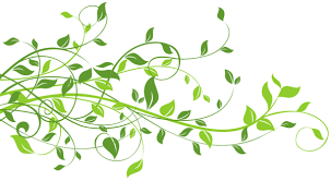 Spring Decor With Leaves Png Clip Art Image Clip Art Leaves Photobook Design