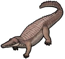 Eutretauranosuchus