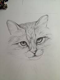 Tumblr Art Drawings Sketches Pencil Art Drawings Animal Drawings