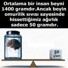 Huner Deresi Adli Kullanicinin Biliyor Musun Do You Know This Panosundaki Pin Biliyor Muydunuz Bilgi Psikoloji