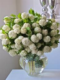 See more of green hydrangea flowers on facebook. Snowball Viburnum Paperblog Beautiful Flower Arrangements Green Hydrangea Pretty Flowers