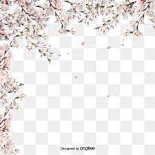 Pink Fresh Cherry Blossom Border Lovely Spring Cherry Blossoms Png Transparent Clipart Image And Psd File For Free Download Cherry Blossom Clip Art Cherry Blossom Flowers Flower Backgrounds