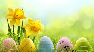 holiday easter egg 4k eggs wallpapers easter wallpapers celebrations wallpapers happy easter wallpaper easter wallpaper easter photography holiday easter egg 4k eggs wallpapers