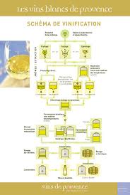 Schemas De Vinification Vins Blancs Vins De Provence Vins De Provence Vin Blanc Vins