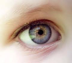 An example is a blue center with a gold outer color or border. Double Central Heterochromia Iridis Augen