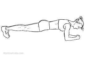 plank workoutlabs exercise guide