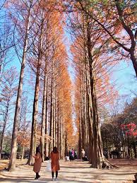 Maybe you would like to learn more about one of these? Itinerari Dan Kos 9h 8m Ke Korea Di Musim Luruh Kakitravel Net