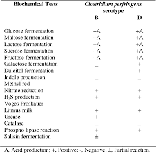We did not find results for: Pdf Study On In Vitro Biochemical Growth Characterization And Assessment Of Hemolytic Toxin Of Clostridium Perfringens Type B And D Semantic Scholar