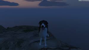 To players in grand theft auto v director mode Steam Community Guide Animal Locations Cryptozoologist Achievement