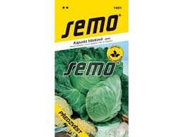 Image result for hlávková kapusta