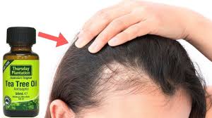 In a clinical study, 100% of participants said they had less. How To Use Tea Tree Oil For Hair Growth Bangla Viral