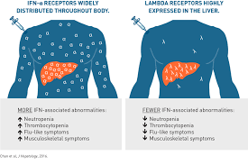 Antibodies blocking such antigen are able to prevent virus entrance into target cells and development of overt infection. Peginterferon Lambda Hepatitis Delta Virus Hdv Infection Eiger Biopharmaceuticals Eiger Biopharmaceuticals
