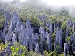 Taman negara di sabah terletak di bawah jabatan hidupan liar sabah manakala taman negara di sarawak di bawah perbadanan perhutanan sarawak. Gua Baharu Ditemui Dekat Taman Negara Gunung Mulu Adenan Semasa Mstar