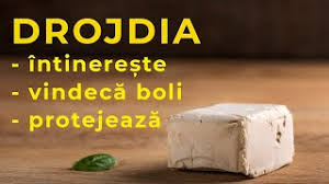 Drojdia inactiva se numara printre alimentele cu cel mai ridicat continut de vitamine din grupul de vitamine b. Ètiai CÄ Drojdia De Bere Are Beneficii Multiple Pentru SÄnÄtate Drojdie InactivÄ Drojdie UscatÄ Youtube