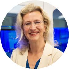 Contact Russ Tiedeman, Email: r***@pacificlifestylehomes.com & Phone Number 