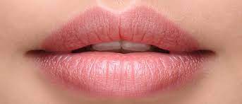 Por Que Se Pelan Los Labios Bekia Belleza