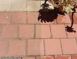 Sand to bed the pavers. Mum Reveals How She Cleaned Her Paving Stones Using A Cheap Gadget Daily Mail Online