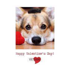 Welcome to garden grove ace hardware. Vet Care 12453 Valley View St Garden Grove Ca 2021