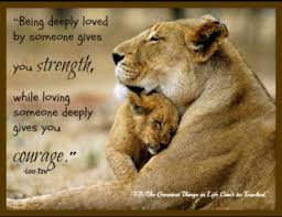 Strength Courage Funny Wild Animals Animals Beautiful Animals Wild