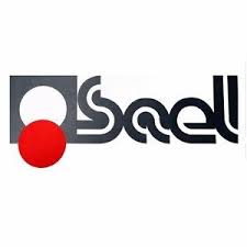 *sael walks inside* quinta excursión e intervención virtual! Sael Brescia Saelcarshop Twitter