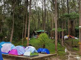 It was named after a british surveyor, william. Cameron Highland Kem Site Sg Pauh Cameron Highland Camping178 ä¸€èµ·åŽ»éœ²ç‡Ÿå§