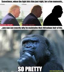 Politicstoo Planet Of The Apes Memes Gifs Imgflip