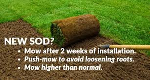 Check spelling or type a new query. When To Mow New Sod Best Guide On How Long To Wait Cg Lawn