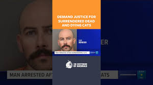 Demand Justice for Dead & Dying Cats Surrendered to Florida Shelter