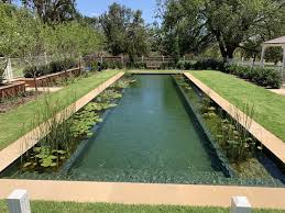 Photo 6 Of 7 In 7 Natural Swimming Pools That Are Completely Natural Swimming Pools Natural Swimming Ponds Swimming Pools