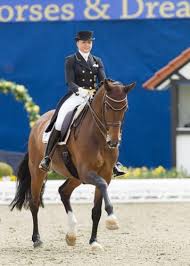 Alles für reiter & pferd! Dorothee Schneider Plotzlich Olympia Will Reiten De