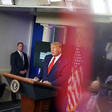 Kayleigh mcenany (/ ˈ k eɪ l i ˈ m æ k ə n ɛ n i /; Trump Defends 17 Year Old Supporter Accused Of Killing Two The New York Times