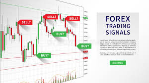 Forex Trading Indicators Vector Illustration Stock Vector