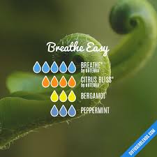 Get five essential oil diffuser blends to help you sleep, ease your breathing, improve your concentration, and make your home smell amazing. Breathe Easy Diffuserblends Com