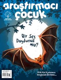 Arastirmaci Cocuk Dergisi Panosundaki Pin