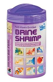 Artemia, the only genus in the family artemiidae, has changed little externally since the triassic period. How To Use Live Brine Shrimp For Betta And Which Is Best Born For Pets