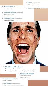 True story! That feeling that you get when a group of birders can't decide  On an ID for a call and you know it's a Chipmunk