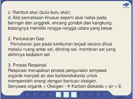 Dalam tumbuhan nama:duratun asyiqah ahmd muldjamil. Tumbuhan Dan Fungsinya Ppt Download