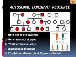 pedigree drawing 2014