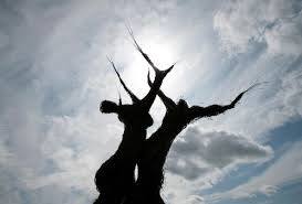 Her parents named her after honeysuckle flowers because they were in bloom when. The Wicker Tree Electric Sheep Reviews