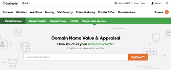Best Domain Appraisal How Much My Domain Worth