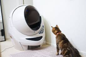 Available in a variety of formulas, this premium litter provides maximum odor control and. The Best Automatic Litter Box Of 2021 Your Best Digs